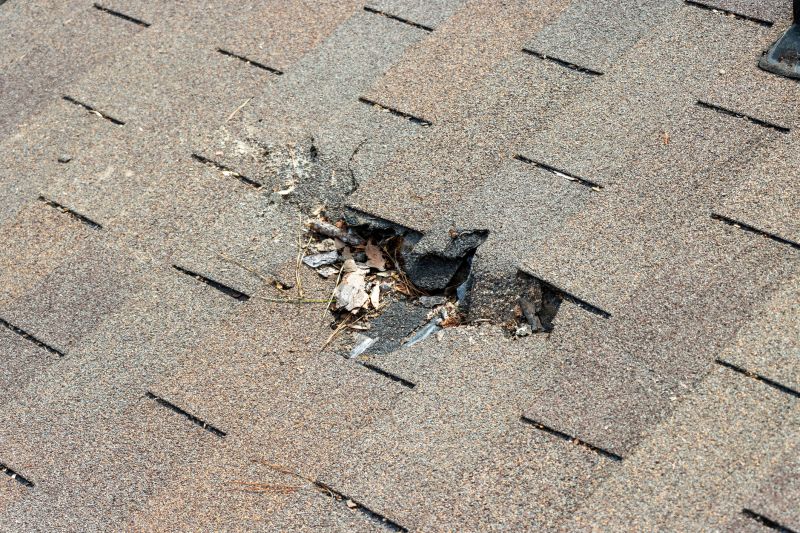 Asphalt Roof Replacement in Fredericksburg, VA