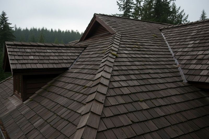Cedar Shake Roof Replacement in Alexandria, VA
