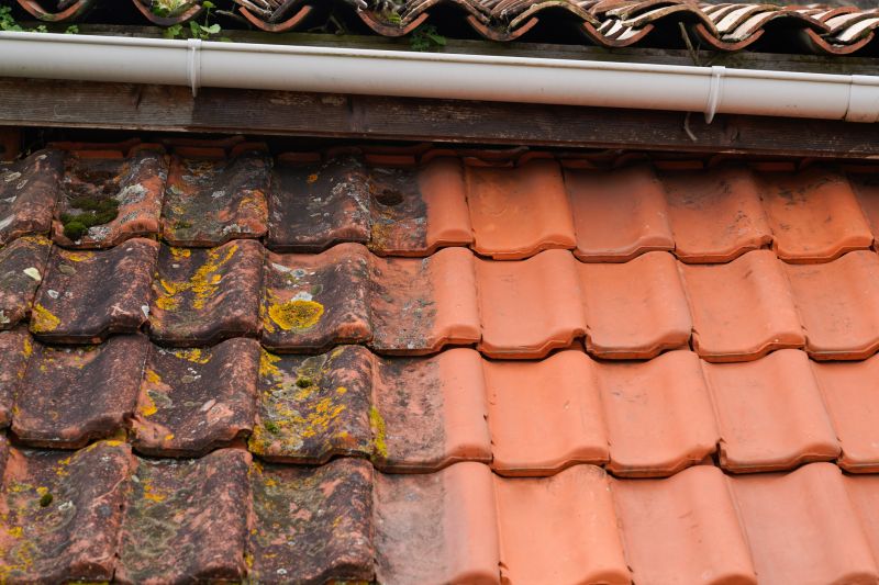 Roof Tile Sealing